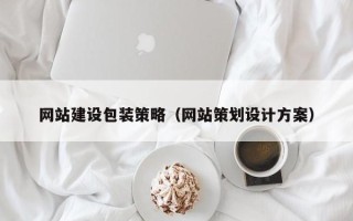 射洪网站建设包装策略（网站策划设计方案）